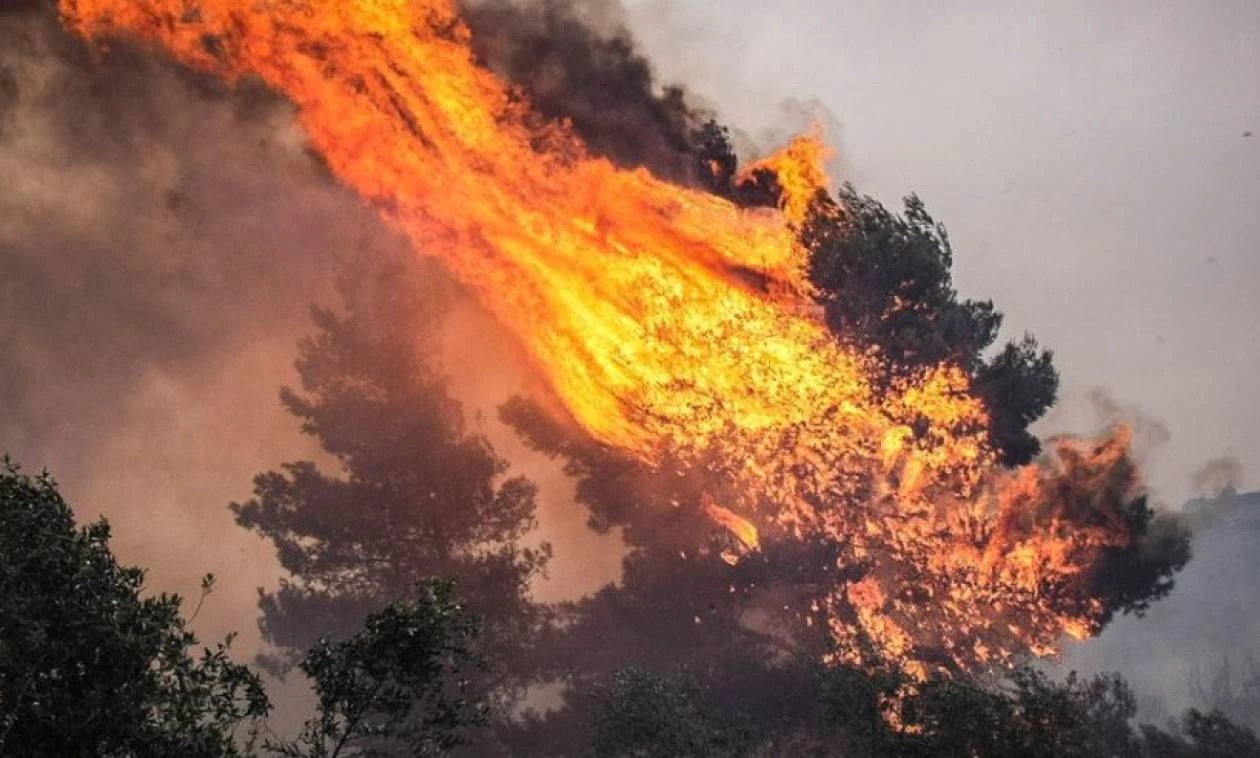 Μεγάλη φωτιά σε δασική έκταση στη Μάνη – Ισχυρή δύναμη πυροσβεστικής στο σημείο